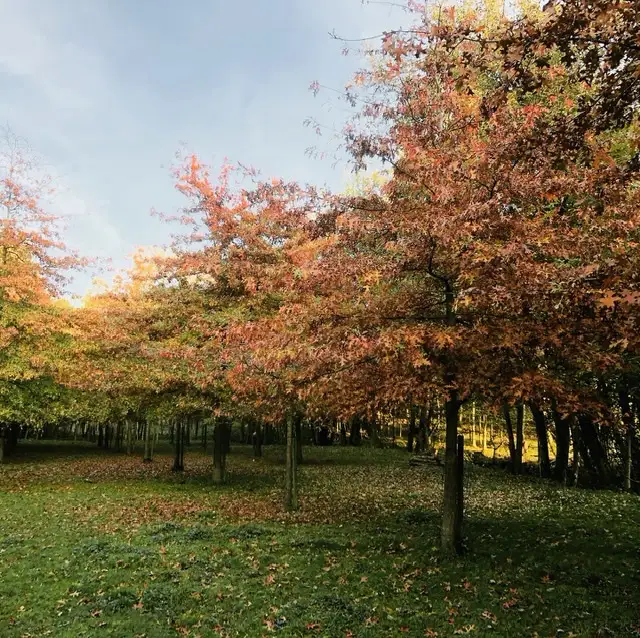 Cottage for 4 people in Walcourt Les Etangs du Francbois : Les Mélèzes